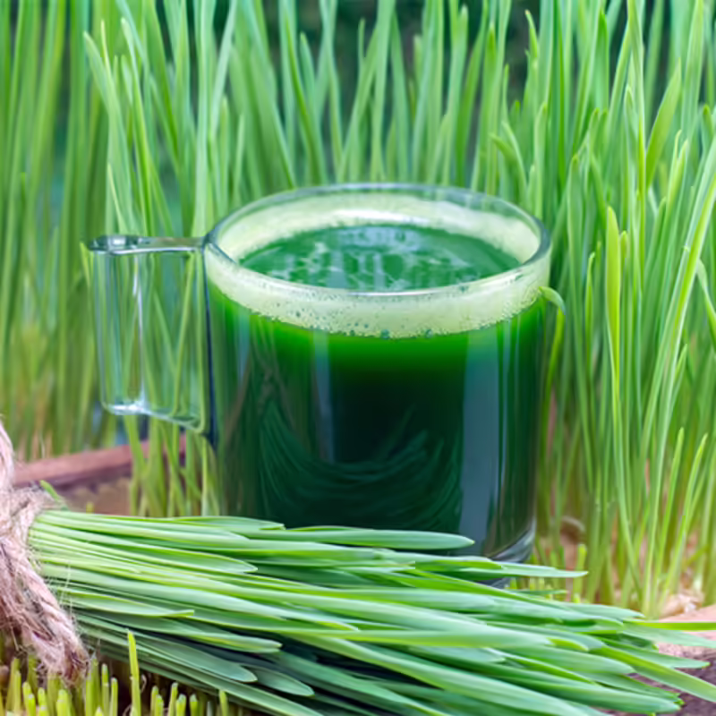 wheat juice